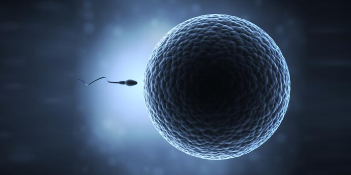 50% drop in sperm counts of men around the globe: could you be at risk?